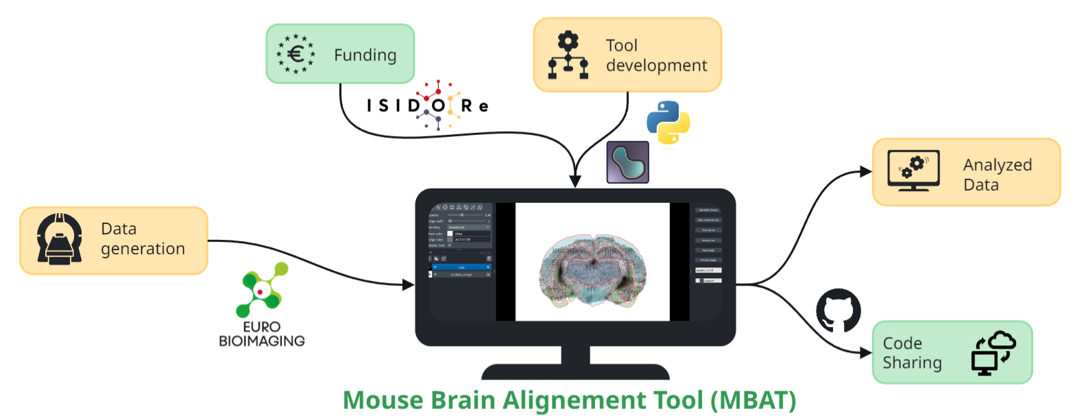 Image with a central symbolic computer screen with the program MBAT. Arrows flowing in and out of the screen denoting inputs (data generated through Euro-Bioimaging, Funding from ISIDORe project, Tool development with Python and Napari) and outputs (Analyzed data and Code deposition on GitHub) of the software.