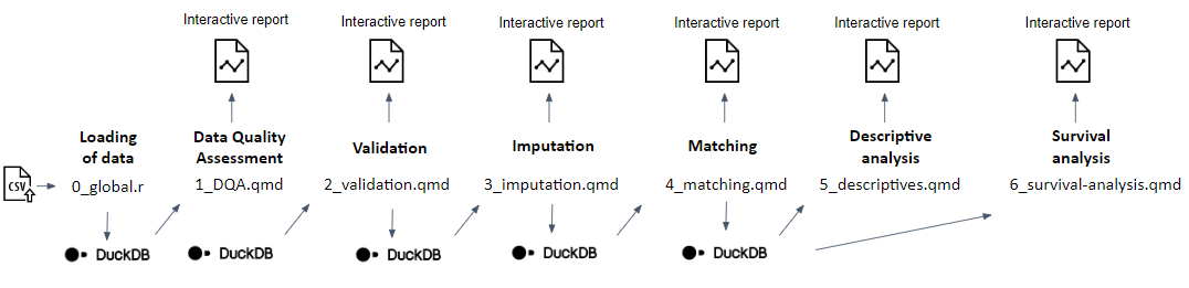 Graphical overview of the analytical pipeline.