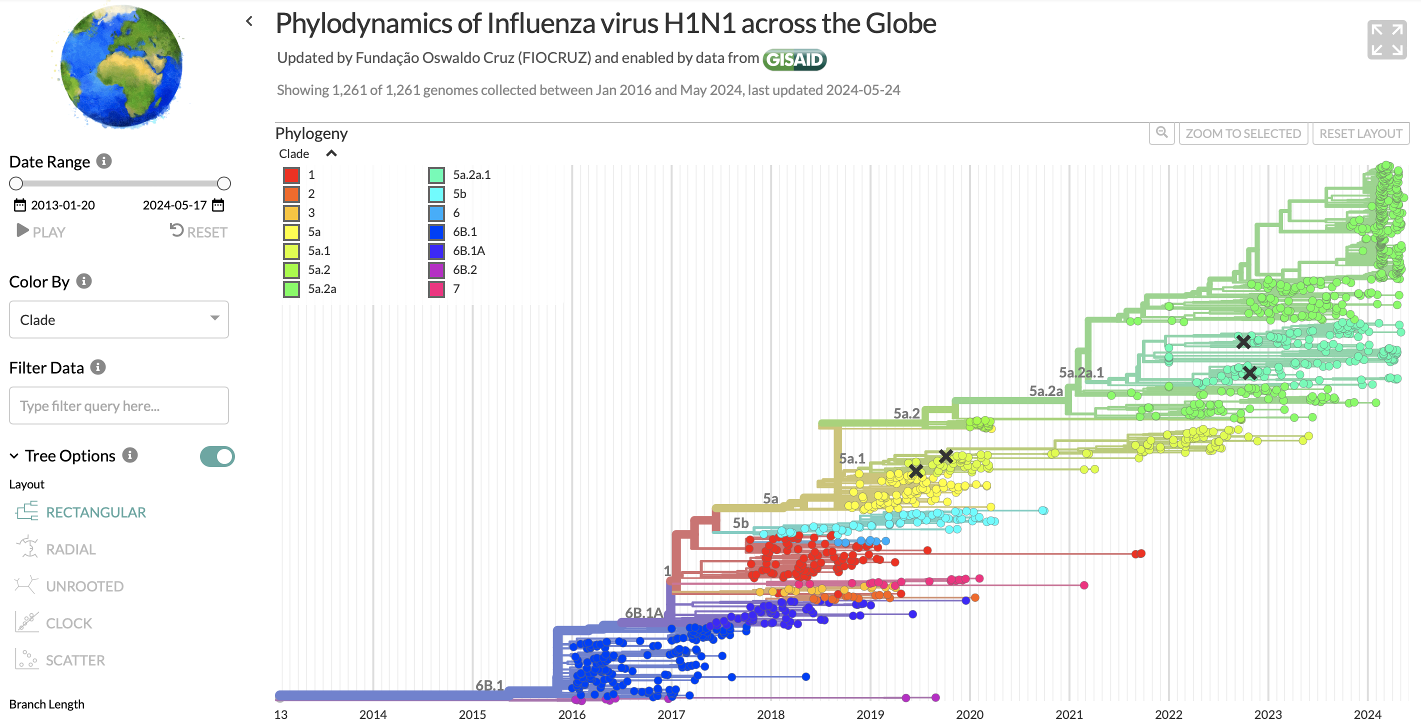 Phylogenetic tree showing the relationships by H1N1 strains, produced by comparing sequences in GISAID.